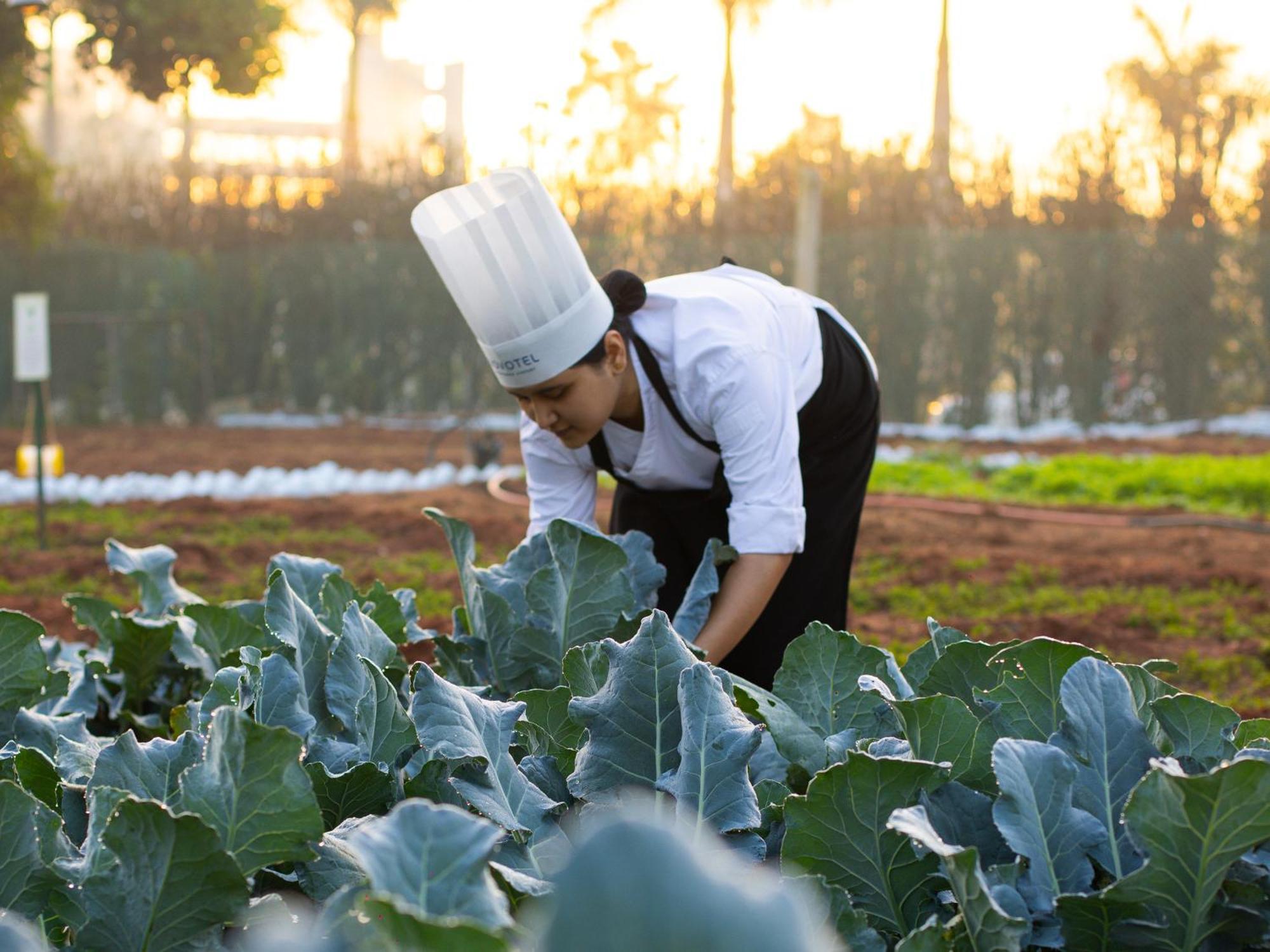 Novotel Hyderabad Airport Екстер'єр фото Chef at work